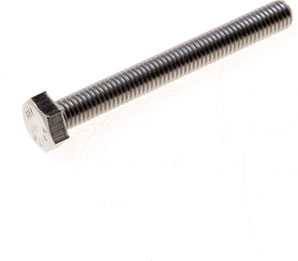 Bout rvs zeskante kop m10x150