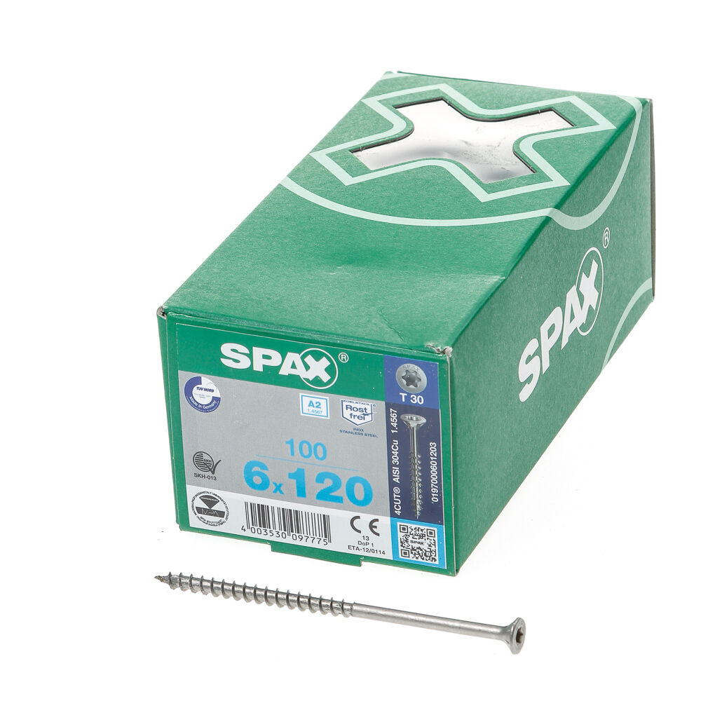 Spax pk t30 rvs dd 6,0x120(100)