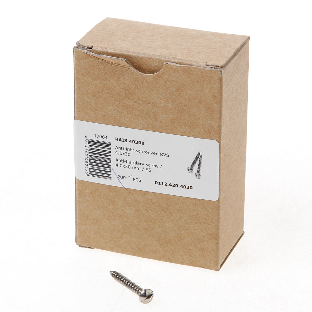 Anti-inbraakschroef rvs 4,0x30