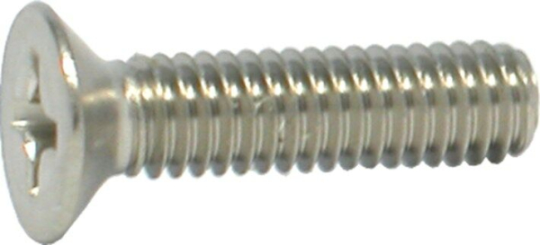 Metaalschroef rvs pkkk m 4x 6.