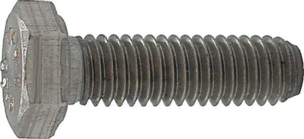 Bout rvs zeskante kop m20x120