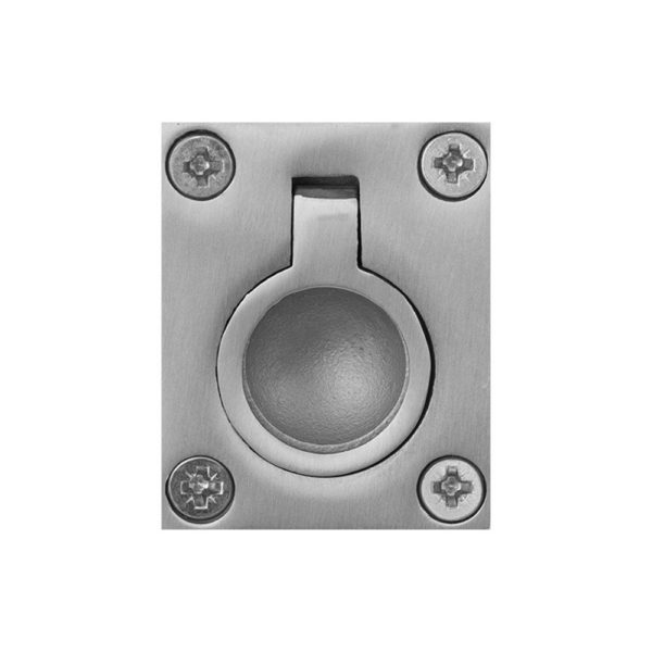 Luikring rvs mat 48x38mm