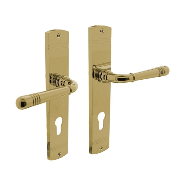 Deurkruk Emily op langschild profielcilinder 72mm PVD messing