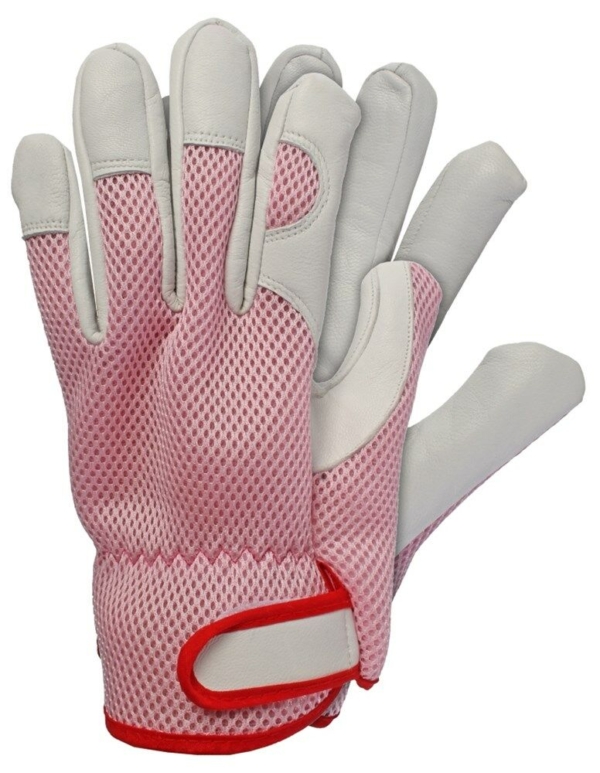 WERKHANDSCH. ROZE MAAT S