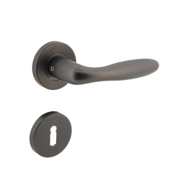 Deurkruk Jupiter op geveerde stalen rozet met nokken ø53x8mm en sleutelplaatjes rvs antraciet-grijs