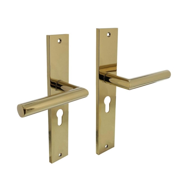 Deurkruk Bastian op langschild 245x45mm profielcilindergat 55mm PVD messingkleur