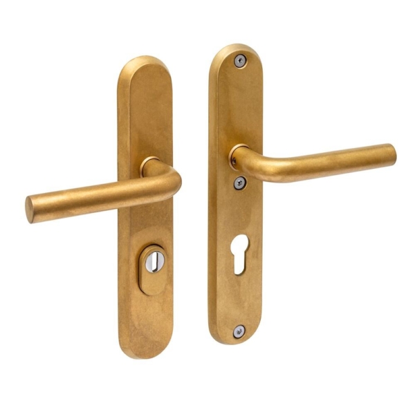 SKG3 veiligh.beslag 250x50mm kruk/kruk Luzern m.veerconstructie profielcil.gat 72mm PVD messing getr