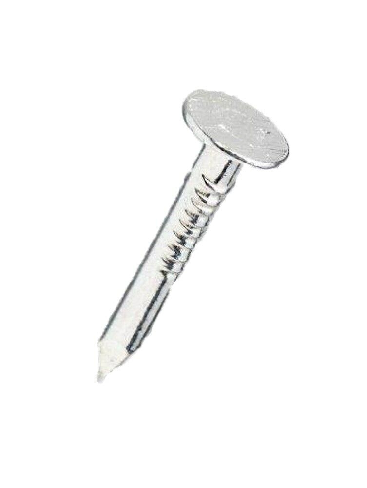 Asfaltnagel vz 3.0x20mm (1kg)