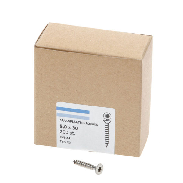 Spaanpl.schr.rvs pk tx25 5.0X30 vd