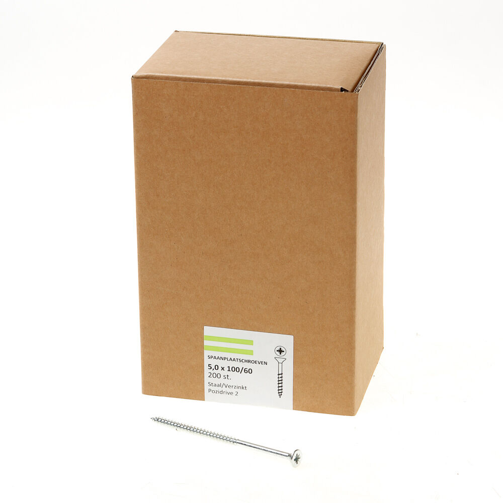 Spaanpl.schr.vz pk pz2 5.0X100/60 dd