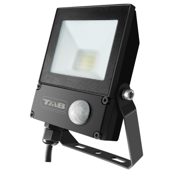 LED WERKLAMP 10 W TAB45010S