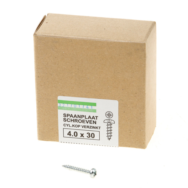 Spaanpl.schr. vz ck pz-2 4.0X30 vd (200)