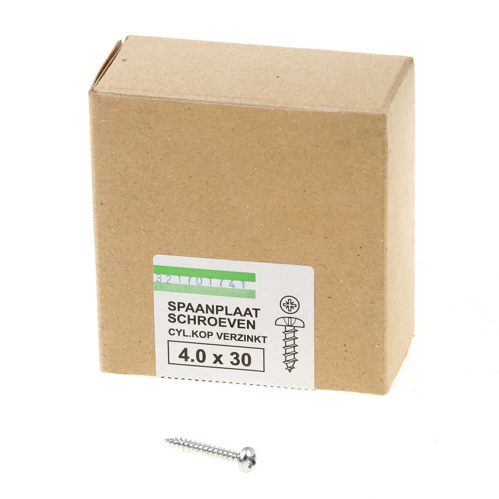 Spaanpl.schr. vz ck pz-2 4.0X30 vd (200)