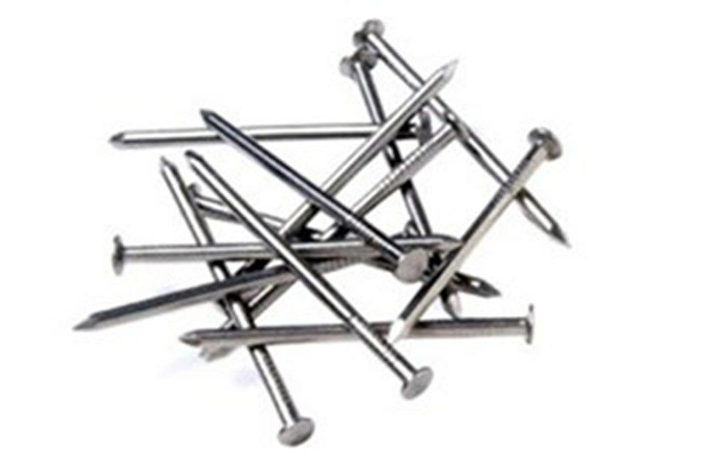 DQ stalen nagel 2.5x50mm ck (100st)