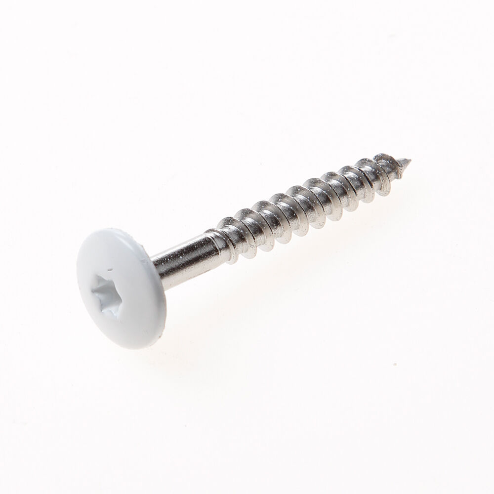 Kleurkopschroef rvs wit ral9010 4.8x70 t20