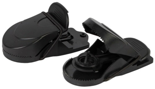 MUIZENVAL KUNSTST. 2 ST. AP36