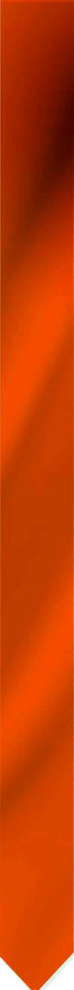 Wimpel oranje met kwast