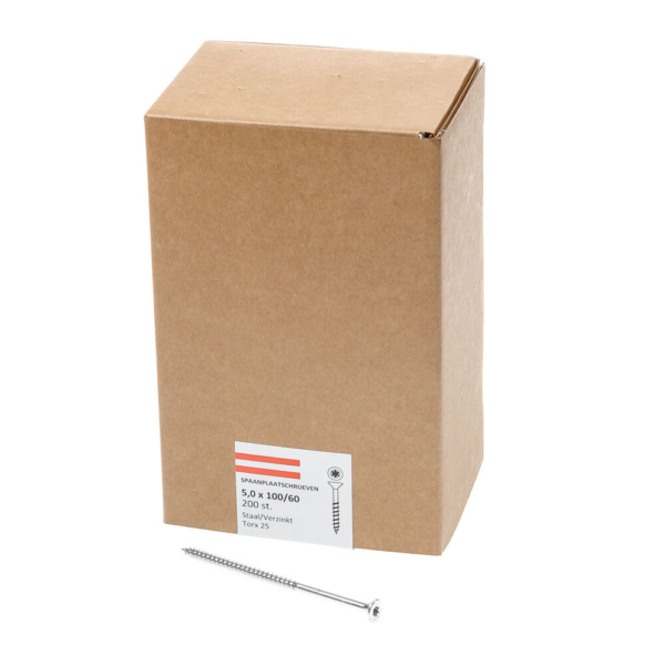 Spaanpl.schr.vz pk tx25 5.0X100/60 dd