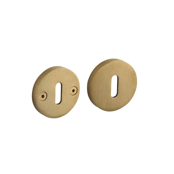 Sleutelrozetten éénzijdig verdekt ø55x8mm met nokken ø8mm PVD messing mat