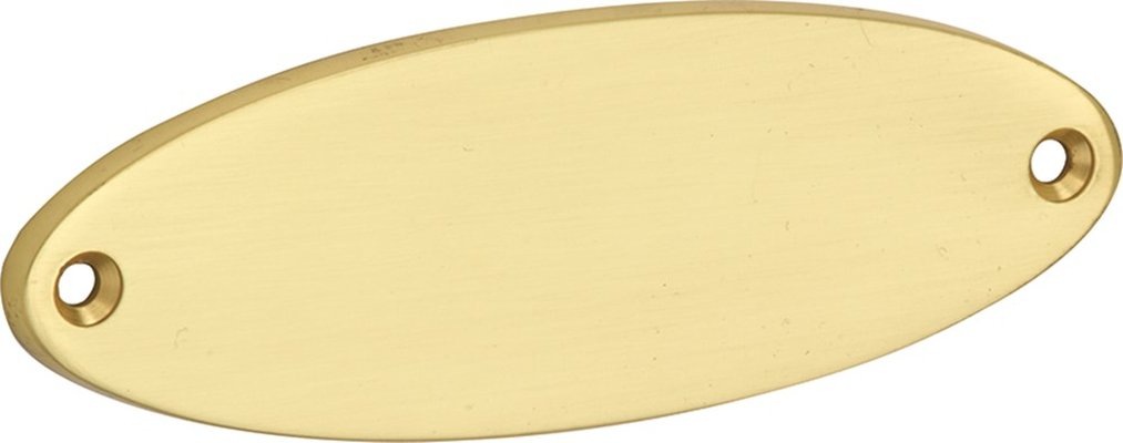 Naamplaat Elips 110x38mm MGG