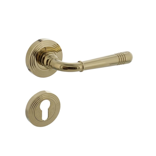 Deurkruk Emily op rozet ø54x9mm met nokken en profielcilindergat plaatjes PVD messingkleur