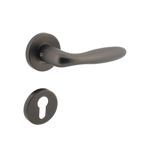 Deurkruk Jupiter op geveerde stalen rozet met nokken ø53x8mm en profielcilinderplaatjes rvs antracie