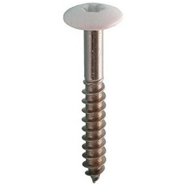 ROCKP.SCHROEF 4.5X35 RVS/100