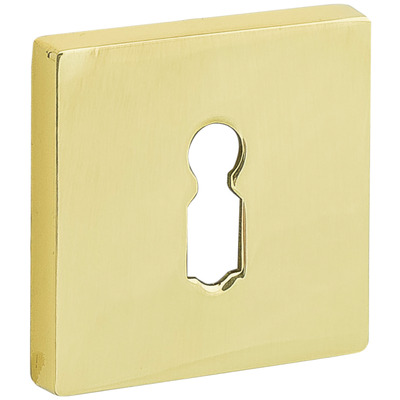 Sleutelrozet Bauhaus verdekt BB MGG