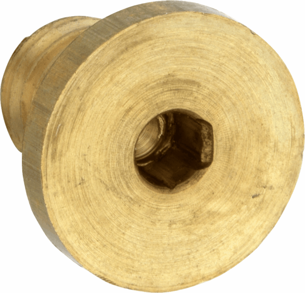 Inbusbout M10x15 MGO