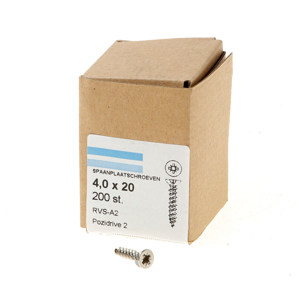 Spaanpl.schr.rvs pk pz2 4.0X20 vd